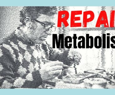 Slow Metabolism? 10 Foods to Repair & Boost It. | NUTRITION
