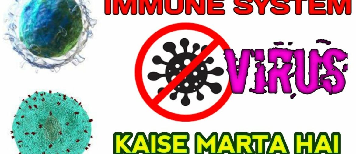 IMMUNE RESPONSE in HINDI | Immune System Kaise Kam Karta hai COVID-19 ke khilaf