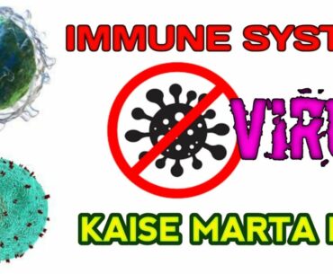 IMMUNE RESPONSE in HINDI | Immune System Kaise Kam Karta hai COVID-19 ke khilaf