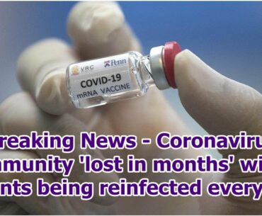 Breaking News - Coronavirus immunity 'lost in months' with patients being reinfected every year