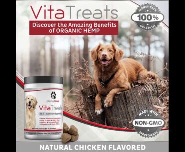 Vita Treats - Dog Vitamins and Supplements - Hemp Oil for Dogs - Glucosamine Chondroitin for Do...