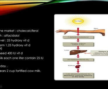 vitamin d MCQ