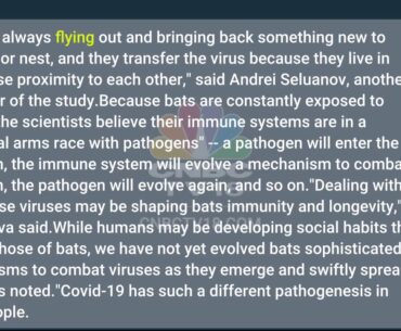Understanding bat immune system may help identify new Covid-19 drug targets, scientists say