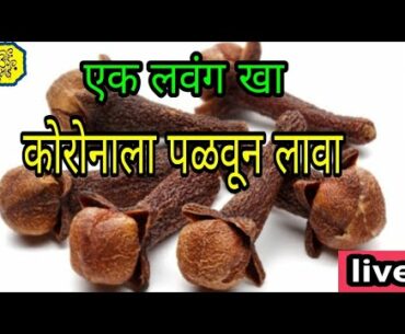 live stream,covid19,clove,lockdown,corona,mulakhat,marathi ,