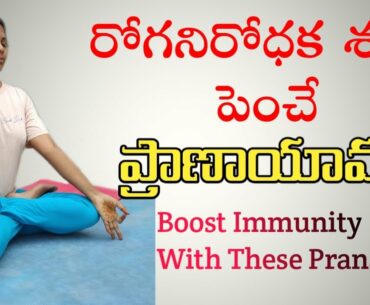 Boost Immunity With These Pranayams |Yoga Against Corona Virus | Yoga With Supraja