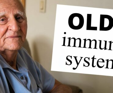 Preventing Aging Immune Systems