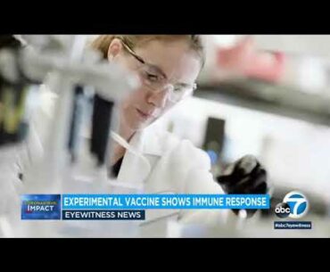 First COVID-19 vaccine tested in US revved up people's immune systems, testing shows | ABC7