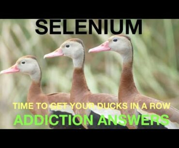 HOW TO OVERCOME ADDICTIONS. SELENIUM FOR THE THYROID, IMMUNE SYSTEM AND PEAK HEALTH. CLIVE DE CARLE