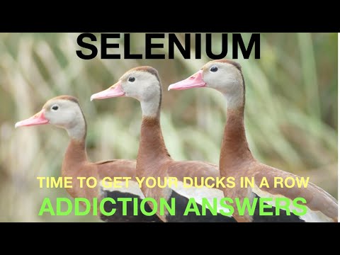 HOW TO OVERCOME ADDICTIONS. SELENIUM FOR THE THYROID, IMMUNE SYSTEM AND PEAK HEALTH. CLIVE DE CARLE