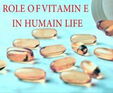 ||Why are Vitamins Important || Vitamin E Benefits|| Vitamin E Treatment||  A to K Nutrition Diet