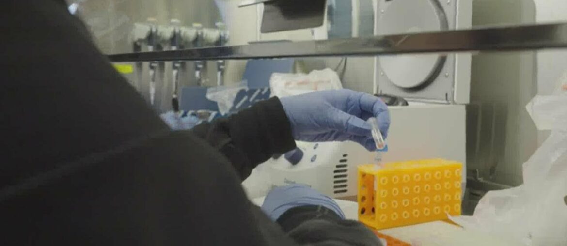 U of M researchers working on new antibody test which could detect immunity to COVID-19