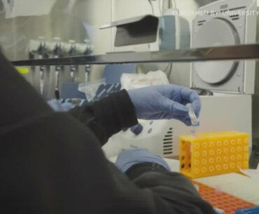 U of M researchers working on new antibody test which could detect immunity to COVID-19