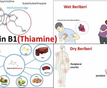 Vitamin B1 : Thiamine