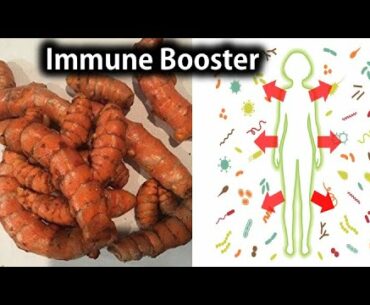 7 Foods That Can Boost Your Immune System During This Pandemic Time