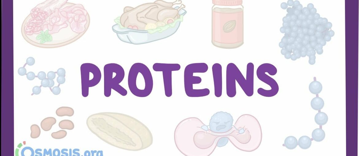 Proteins