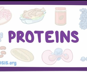 Proteins