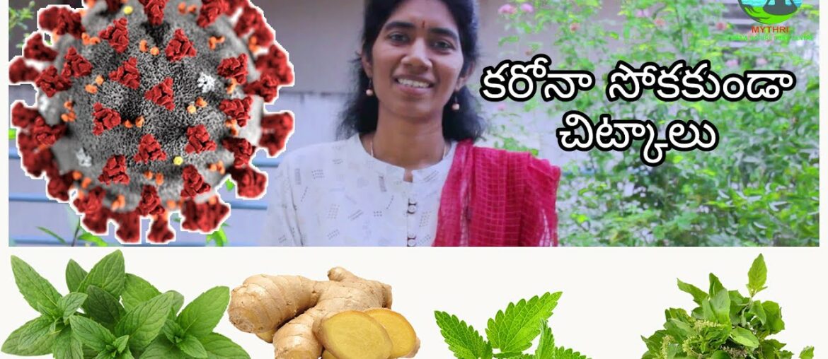 Home Quarantine Tips | Herbs to fight infections l Corona Prevention COVID-19 | Ayush MinistryTips l