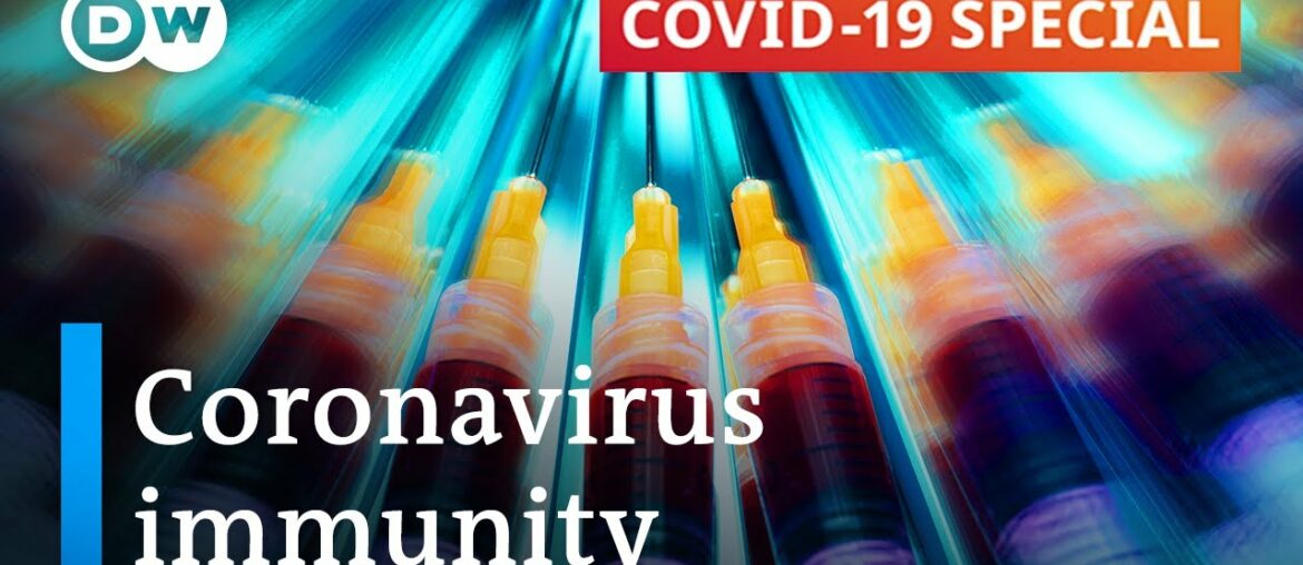 Coronavirus immunity: What do we know? | COVID-19 Special