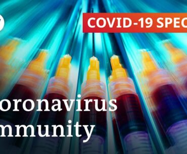 Coronavirus immunity: What do we know? | COVID-19 Special