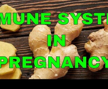 IMMUNE SYSTEM IN PREGNANCY + TIPS TO KEEP IT UP