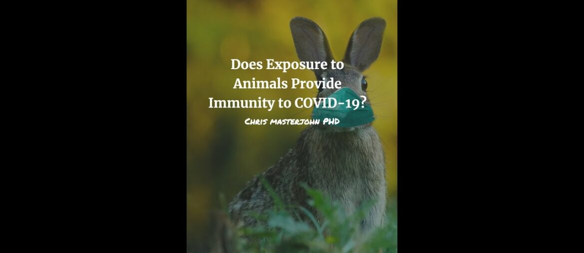 Does Exposure to Animals Provide Immunity to COVID 19?