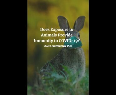 Does Exposure to Animals Provide Immunity to COVID 19?