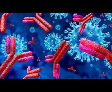 COVID-19 and Antibody tests explained: IgM and IgG antibodies to Coronavirus