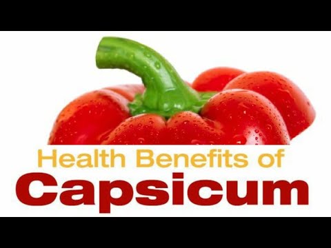 Amazing Benefits Of Capsicum/Bell Peppers || Health Benefits Of Capsicum