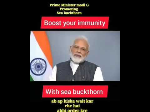 Narendra Modi, Immune system,to prevent from Covid 19#SEABUCKTHORN