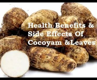 Health Benefits & Side Effects Of Cocoyam & Leaves: Boost Immune System, Tackle Anaemia & Diabetes