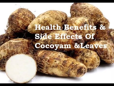 Health Benefits & Side Effects Of Cocoyam & Leaves: Boost Immune System, Tackle Anaemia & Diabetes