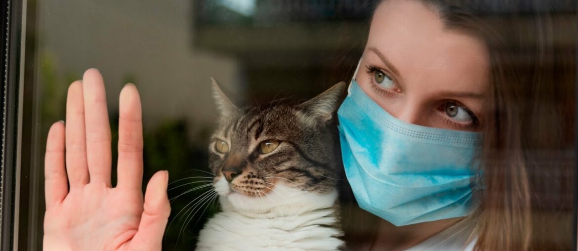 Cat Owners May Have Higher Immunity for COVID-19