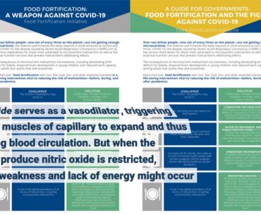 The Only Guide to Vitamin and Mineral Supplement Fact Sheets