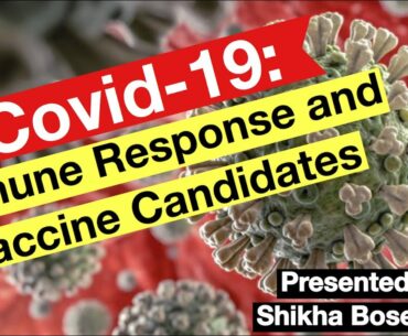 COVID-19 Immune Response and Vaccine Candidates