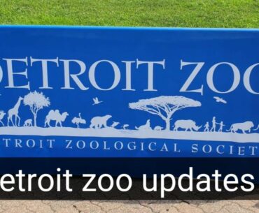 Detroit Zoo Tour and Updates | Update after Covid 19 Re-Open .