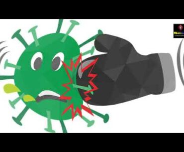 What is our Immune System, and how does it work?