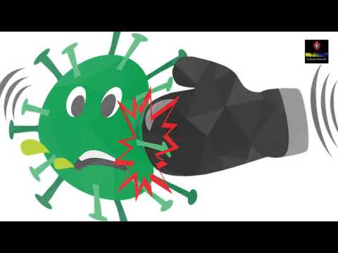 What is our Immune System, and how does it work?
