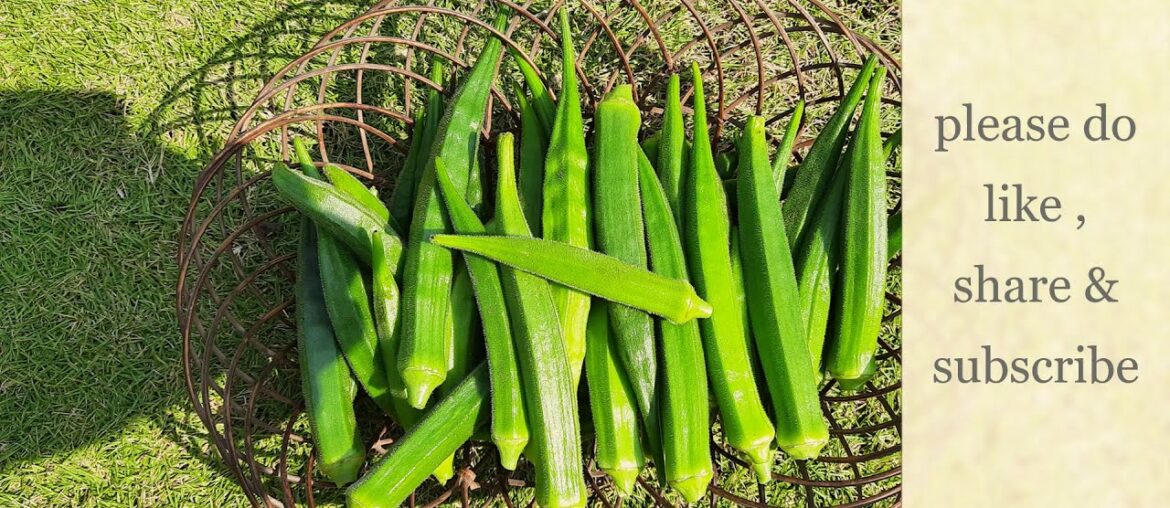 20 Health Benefits of Okra (Bhindi) | Amazing Bhindi |health benefits of Ladyfinger