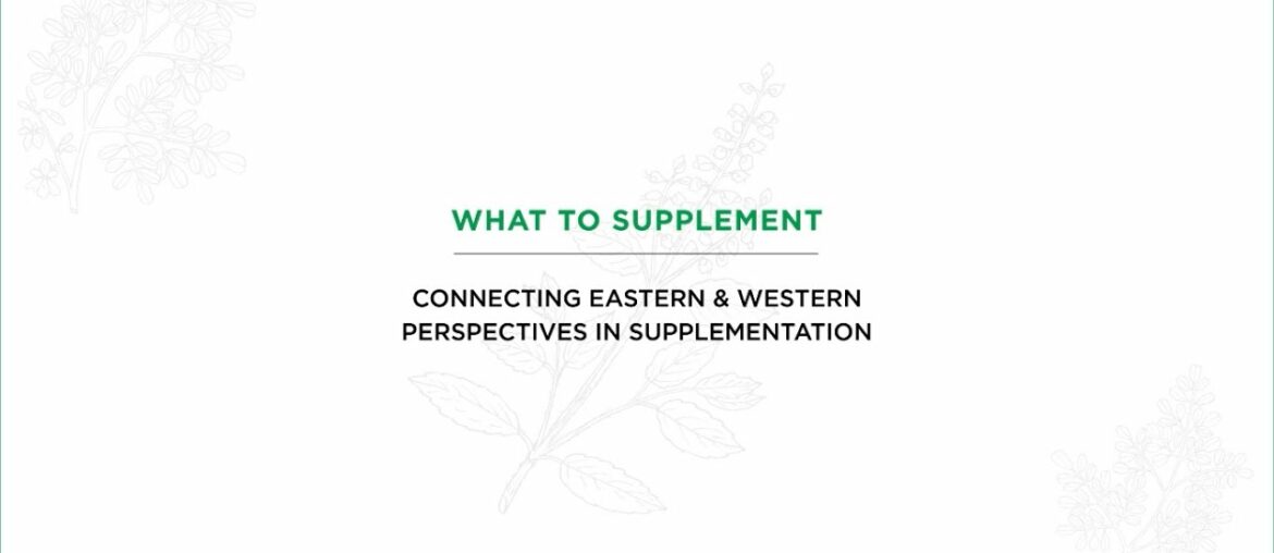 Holistic Immunity | Eastern & Western Supplementation | Dr. Ameen | Dr. Junger | Dr. Deanna Minich