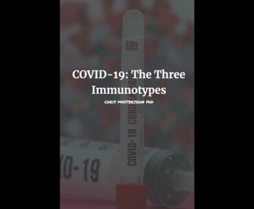 COVID 19: The Three Immunotypes