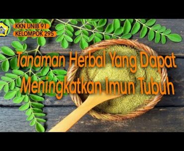 Tanaman Herbal Yang Dapat Meningkatkan Imun Tubuh Dan Mencegah COVID-19