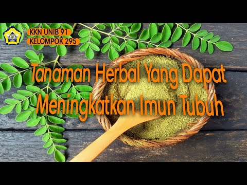 Tanaman Herbal Yang Dapat Meningkatkan Imun Tubuh Dan Mencegah COVID-19