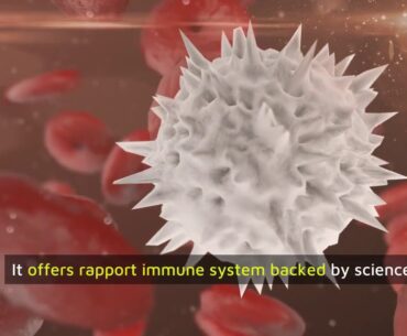 immune support vitamins - Immune Defence Review