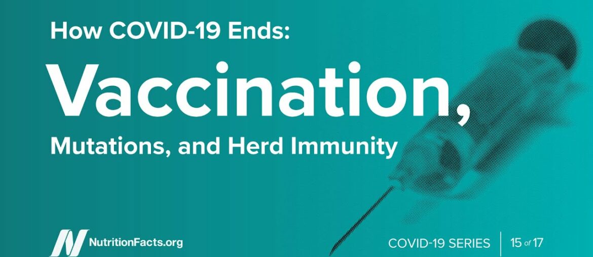 How COVID-19 Ends: Vaccination, Mutations, and Herd Immunity