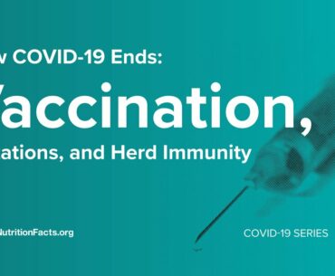 How COVID-19 Ends: Vaccination, Mutations, and Herd Immunity