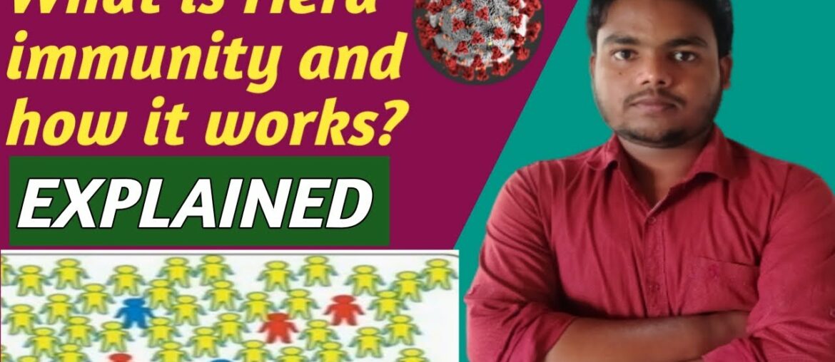 What is herd immunity| Can it save India from coronavirus.