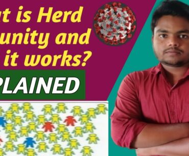 What is herd immunity| Can it save India from coronavirus.