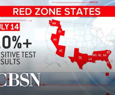 Coronavirus task force report highlights states in "red zone"