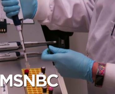 Oxford Vaccine Trial Shows ‘Double Immunity’ Against COVID-19 | Hallie Jackson | MSNBC