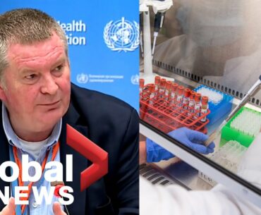 Coronavirus: WHO hails 'good news' on COVID-19 vaccines, but warns there's still a long way to go